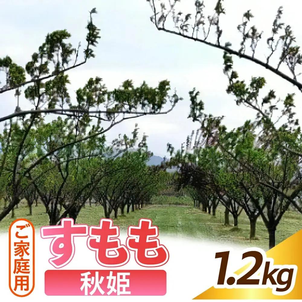 すもも（秋姫）１.２ｋｇ　ご家庭用　0012-2605