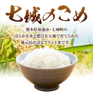 令和7年産 七城のこめ 精米 5kg  有限会社七城町特産品センター 《30日以内に出荷予定(土日祝除く)》