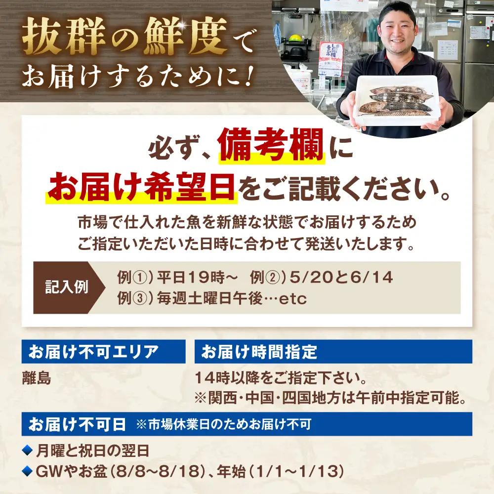天然マグロ ブロック 約400?500g（約4?6人前） 高知県土佐市 【さかなの森澤　マル祐】 [BQAM013]