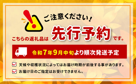 【先行予約】【9月中旬頃～発送予定】豊水 約5kg （ 10 ～ 14 玉 ） | 果物 くだもの フルーツ 梨 なし ナシ 長野県 塩尻市