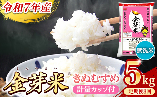 BG無洗米・金芽米きぬむすめ 5kg×3ヵ月 定期便【毎月】計量カップ付き【令和7年産 3ヶ月 計15kg 東洋ライス 健康 島根県 安来市】【価格改定】