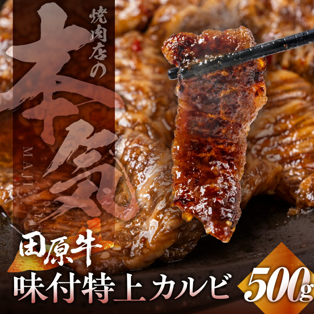 【ふるさと納税】焼肉の名店特選 味付け 牛カルビ 500g 小分け 100g × 5パック 牛肉 肉 カルビ 上カルビ 焼肉 小分け 味付け肉 味付肉 焼くだけ 簡単 焼肉 田原牛 ブランド牛 国産 人気 田原市 冷凍 高級 タレ 焼肉のたれ