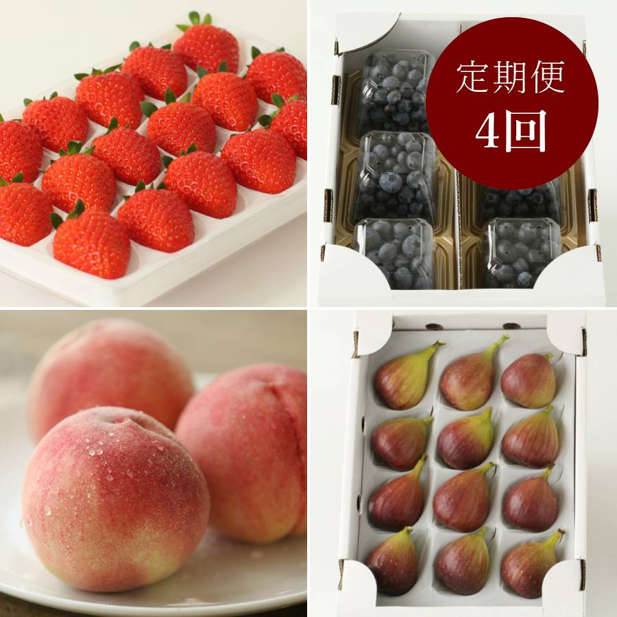 ＜紀のファーム＞旬の果物【4回定期便】