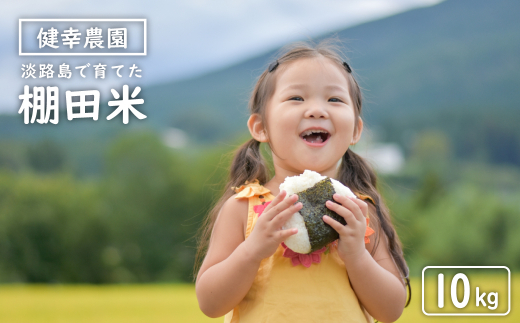 健幸農園の棚田米 10kg 精米 白米 農家直送