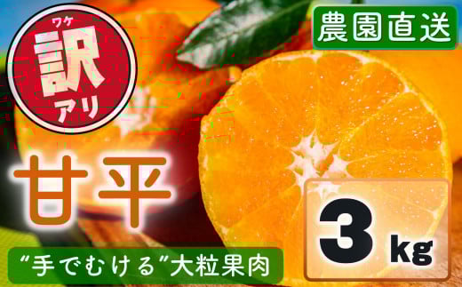【先行予約】 訳あり 農園直送 甘平（かんぺい） 3kg 【1月上旬～2月中旬発送】 愛媛県限定 希少 高級柑橘 手でむける みかん 果物 フルーツ 愛媛県 松山市