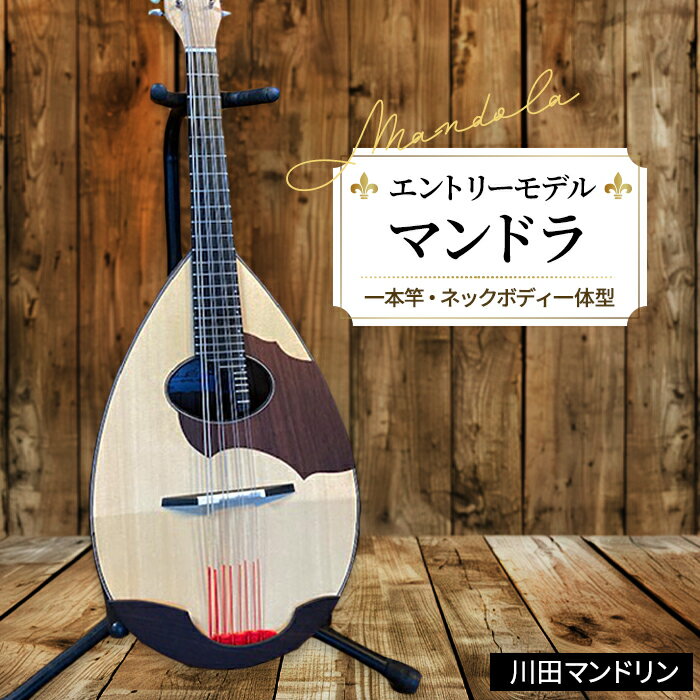 【ふるさと納税】【エントリ—モデル】マンドラ [No.289] ／ 楽器 弦楽器 送料無料 岐阜県