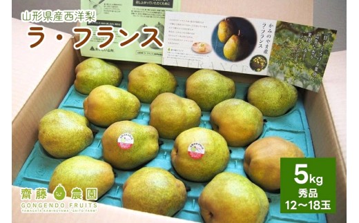 西洋梨（ラ・フランス）５ｋｇ　0037-2610