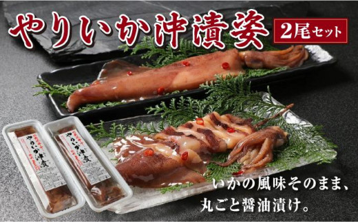 やりいか沖漬姿　1尾×2ケース  　やりいか いか 沖漬 ヤリイカ イカ 沖漬け 松前町