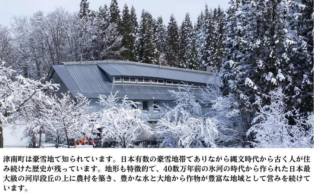 つなん 白 純米大吟醸 720ml×1本【令和6酒造年度 全国新酒鑑評会金賞受賞】| 津南醸造 新潟