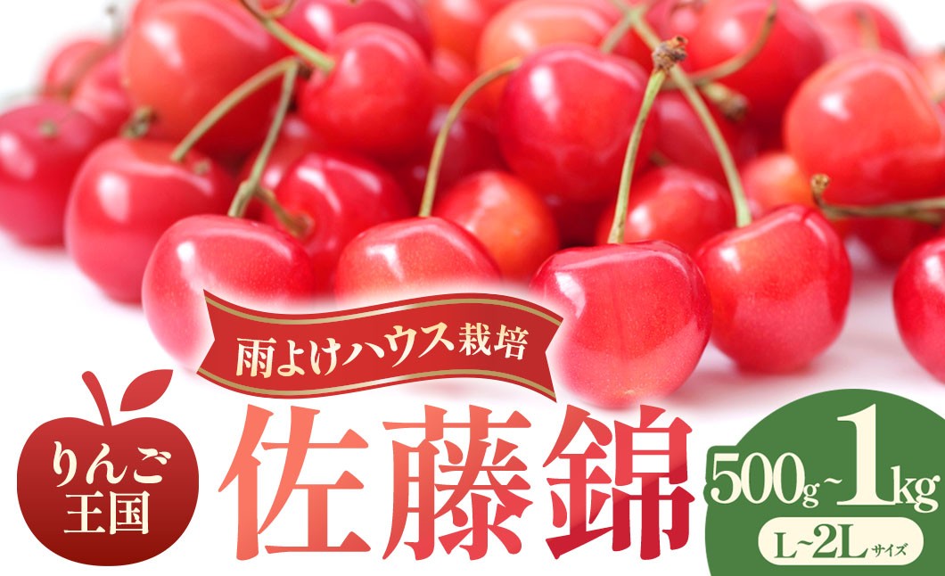 
                  【2026年発送 先行予約】さくらんぼ 佐藤錦 選べる容量：約500g 1kg（L～2Lサイズ）バラ詰め ★2026年6月中旬～7月上旬頃にかけて順次発送予定★ 佐藤錦 チェリー 果物 フルーツ くだもの サクランボ さくらんぼ 青森県三戸町産 AK-26-P06
                