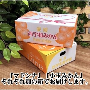 2025年11月発送開始　ぷるぷる新食感!「マドンナ」+濃厚!「小玉みかん」約5kg【C39-32】【1252242】