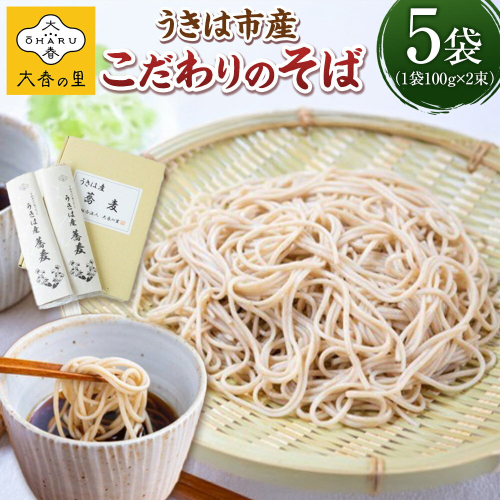 【ふるさと納税】 大春の里 うきは産こだわりのそば (乾蕎麦麺 200g (100g×2) 5袋入り) ソバ 麺 乾麺 常温 送料無料 福岡県 うきは市
