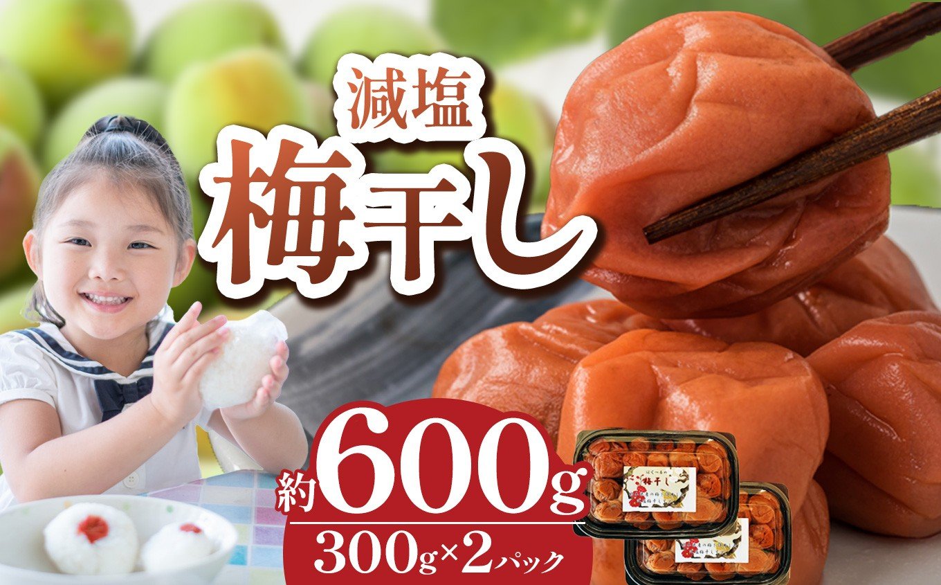 
            【 栃木県産 】梅干し 約300g×2 | 梅 梅干し 減塩 手摘み 天然 天日干し 手作り 塩漬け  栃木県 しもつけ市 下野市
          