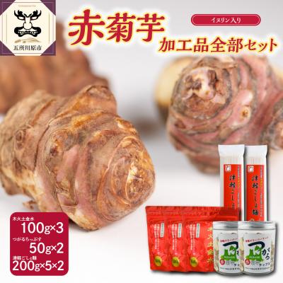 ふるさと納税 五所川原市 赤菊芋加工品全部セット パウダー300g/チップス100g/うどん200g×10束 きくいもキクイモ