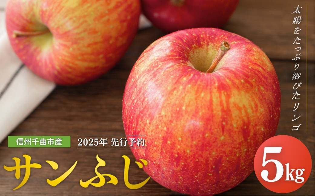 
            【2025年先行予約】りんご サンふじ 約5kg<中島農園> ｜ さんふじ フルーツ 果物 信州りんご 千曲市 長野県産 信州
          