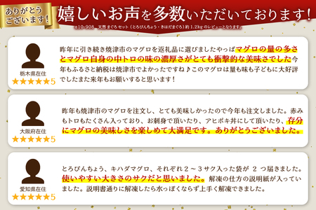 a10-908　天然 まぐろ セット（とろびんちょう・きはだまぐろ） 約1.2kg