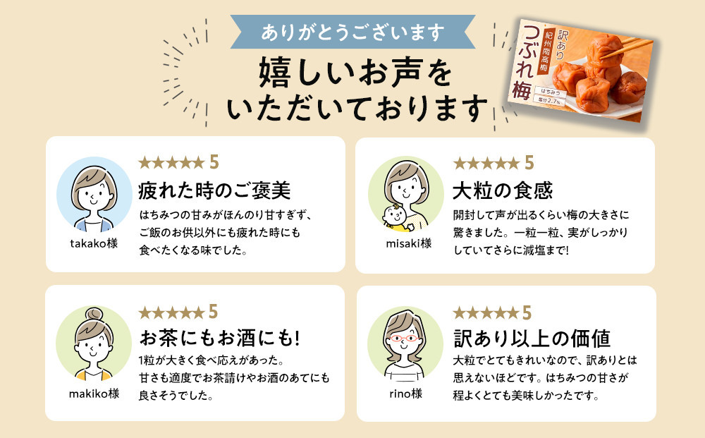紀州南高梅 塩分約2.7% 特大粒 訳ありつぶれ梅 はちみつ梅 400g×2個 800g 減塩梅干し 紀州梅本舗【特大粒 つぶれ梅 南高梅 ワケあり 梅干し お漬物 和歌山県 白浜町】