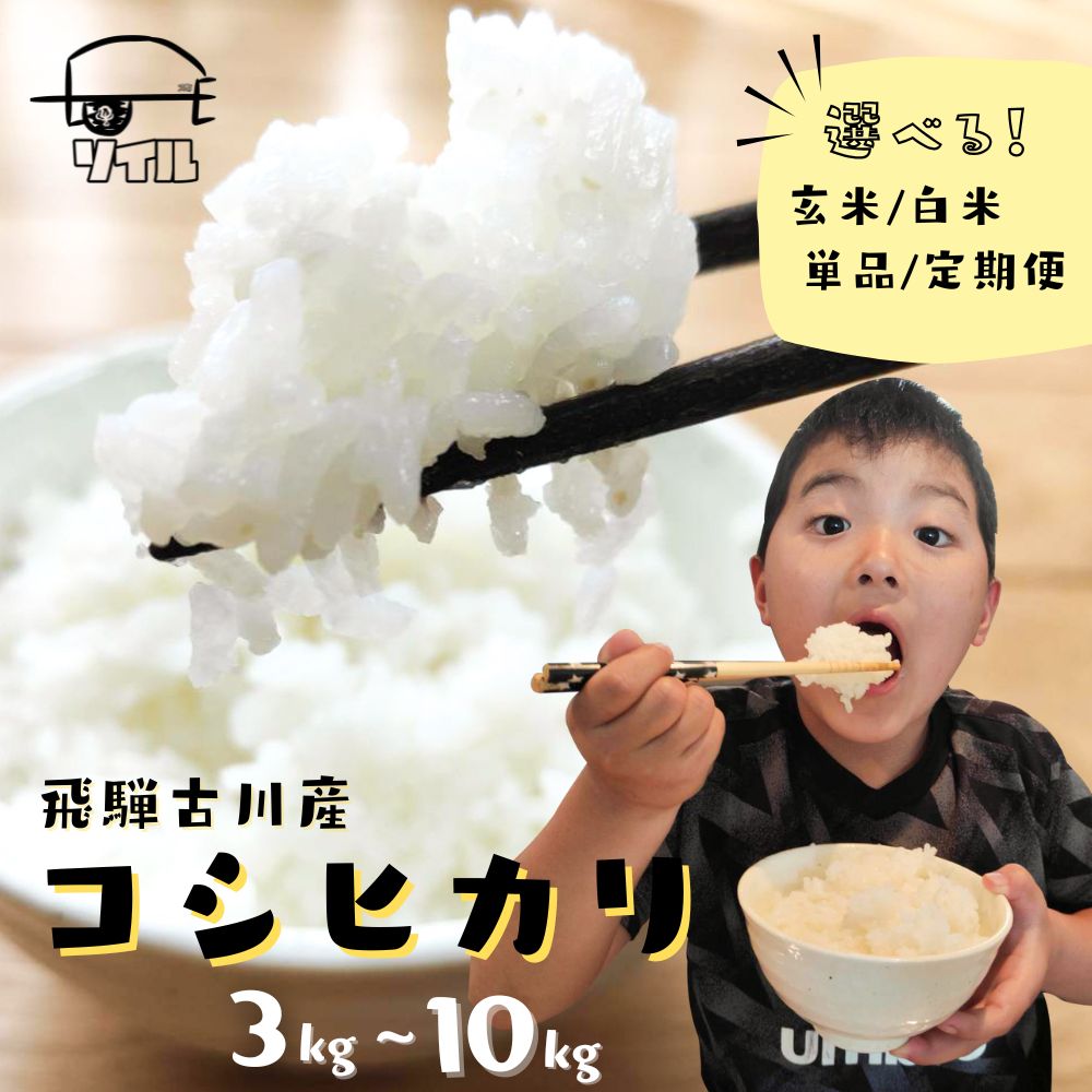 【ふるさと納税】令和7年産 先行予約 令和8年産 新米 飛騨古川産 特別栽培米 こしひかり 選べる 3kg 5kg 10kg コシヒカリ 新米 お米 米 精米 ごはん ご飯 特A 米不足 2025 2026 飛騨市 ふるさと納税 米 定期 定期便 5キロ 10キロ 5kg / 10kg 6か月 ソイル どやな飛騨市