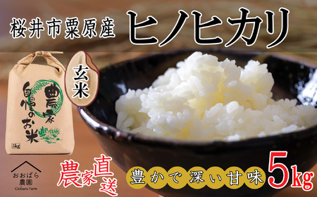 M-AE41.【玄米】桜井市粟原産 ヒノヒカリ 5kg