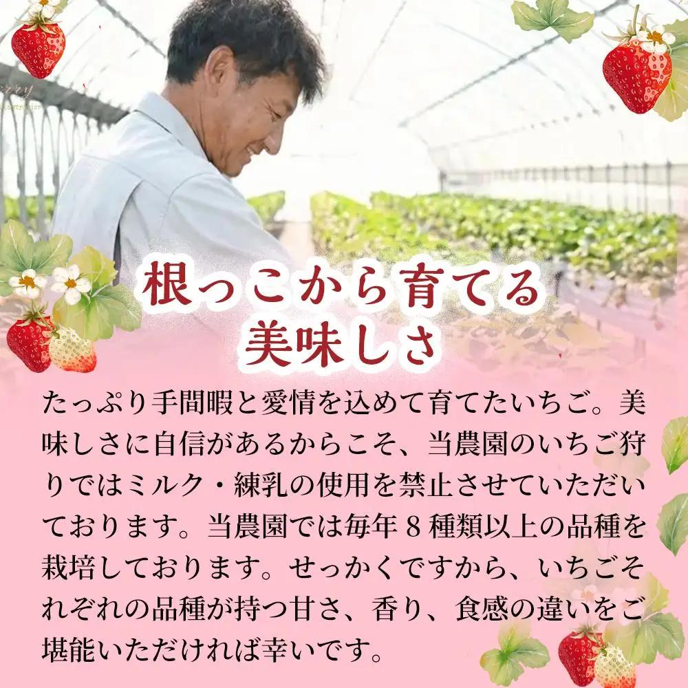 【濃厚ミルク感と果実の甘み】いちごミルクアイス 30個 いちご いちごミルク アイス 果物 フルーツ 大粒 濃厚 産地直送  ギフト 贈答用 兵庫県 福崎町