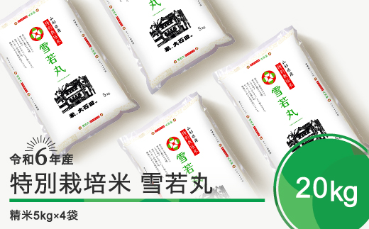 新米 令和6年11月下旬発送 雪若丸 20kg 精米 令和6年産 ja-yusxb20-11s