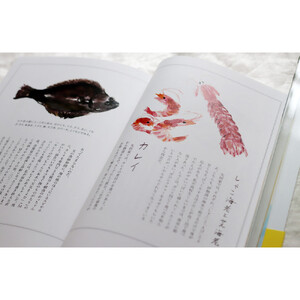 教科書にも掲載された話題作「いのちをつなぐ海のものがたり」＋続編の人気の2冊セット♪