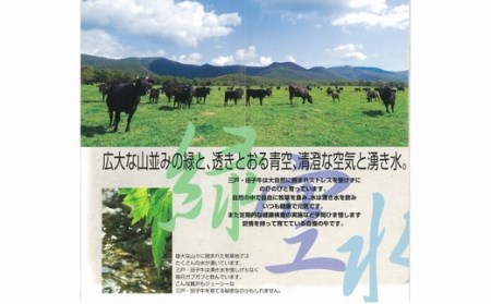 【黒毛和牛A4・B4等級以上】「三戸田子牛」肩ローススライス500g