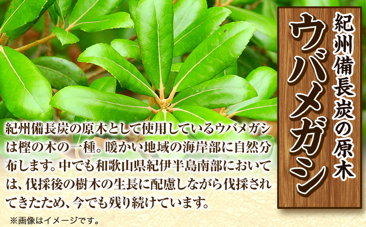 紀州備長炭 半丸 約2kg 望商店 《30日以内に出荷予定(土日祝除く)》 和歌山県 日高川町 備長炭 紀州備長炭 炭 約2kg 高級白炭 BBQ 焼肉 炭火焼き キャンプ レジャー 囲炉裏 国産 備