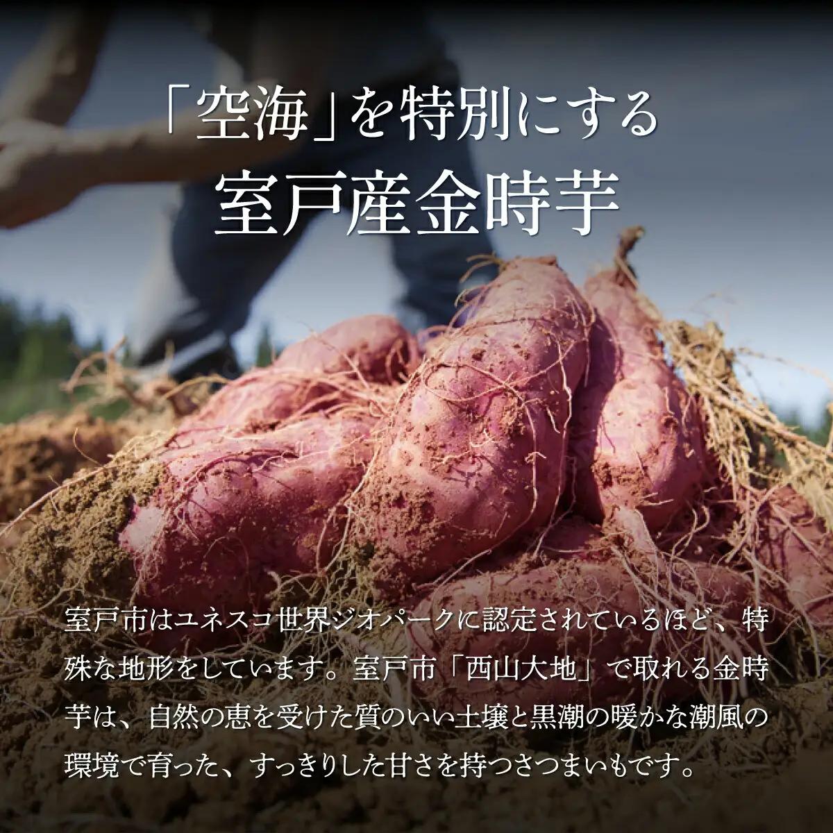 土佐金時芋焼酎 空海 500ml×2本 芋焼酎