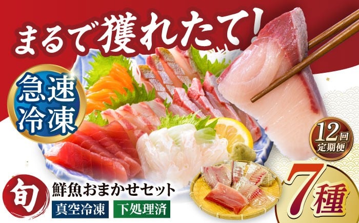 
            【12回定期便】超速冷凍鮮魚7種（5種+焼物用2種）五島市/金沢鮮魚[PEP071]刺身 さしみ 刺し身 刺身セット 刺身 刺身丼 海鮮丼 セット 冷凍 海鮮  海鮮丼の具 盛り合わせセット 小分け 海鮮 魚介人気  セット 魚介類 海鮮 人気 柵 真空パック 新鮮 下処理済み
          