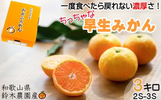 早生みかん 約3kg 希少な小粒 2S～3S サイズ 混合 11月中旬～12月下旬頃に鈴木みかん農園より農園直送 3Sサイズ 2Sサイズ 2S SS 小玉 小さい※北海道・沖縄・離島への配送不可 ミカン 蜜柑 mikan 温州みかん 温州ミカン