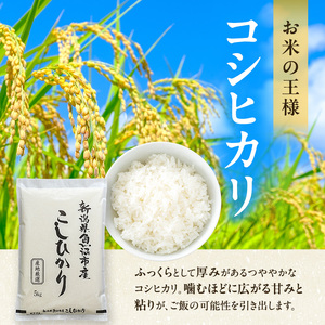 令和7年産 農産物検査員お奨め 魚沼産こしひかり（精米）5kg お米 コシヒカリ
