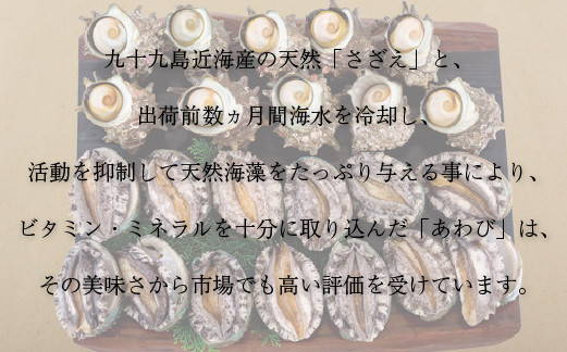 A179a 九十九島あわび(1,200g)･さざえ(1,200g)