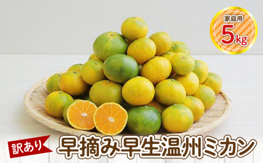 S040-025_【訳あり】早摘み早生温州ミカン 家庭用5kg