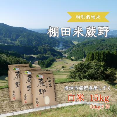 ふるさと納税 唐津市 【令和7年産】特別栽培米「棚田米蕨野」15kg(5kg×3袋)