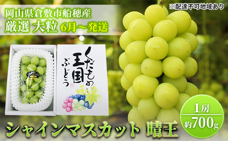 【2025年先行予約】 ぶどう 岡山県産 シャインマスカット 晴王 厳選 1房 約700g 大房 岡山県 倉敷市 船穂産 《2025年6月中旬-7月上旬頃出荷》 葡萄 ブドウ フルーツ 果物 スイーツ 数量限定 期間限定 里庄町