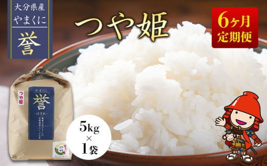 【先行予約】【6ヶ月定期便】九州米・食味コンクール最優秀賞受賞 令和6年産 大分県中津産やまくに誉 つや姫 5kg×1袋 (毎月1回)   お米 精米 白米 九州産 国産 熨斗対応可 お米 おいしい米 高評価米 中津市米 大分県米 九州米