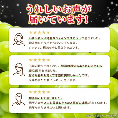 フルーツ王国山梨産厳選 大房シャインマスカット 1房 (約700～800g)【配送不可地域：離島】