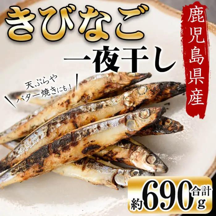 鹿児島県産 黒潮の恵み！天然物きびなご一夜干し約230g×3パック（合計約690g）a3-191