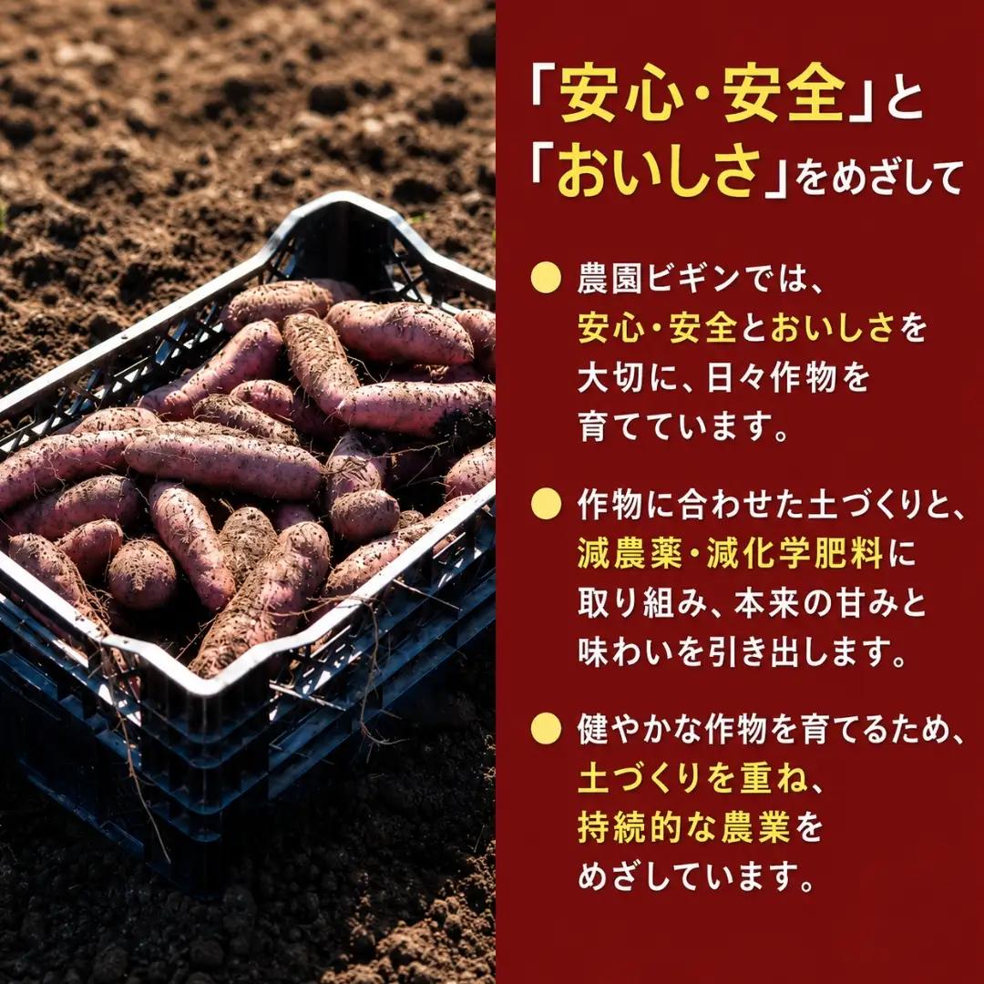 焼き芋 冷やし焼き芋 紅はるか 4袋 ひんやり ねっとり甘い 農園ビギン
