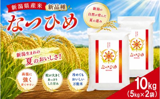 【最短5日発送】 令和8年産 なつひめ 真空パック 白米 10kg  新潟産 新潟米 新発田産 新発田 お米 米 kome ご飯 こめ ごはん ライス ふるさと納税 お弁当 食品 ブランド米 新潟県 新発田市 三糧 sanryo022