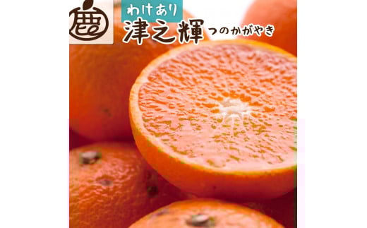 
            ［先行予約］家庭用 津之輝1kg+250g（傷み補償分）［訳あり］［つのかがやき］［せとかに似た柑橘］［IKE57］
          