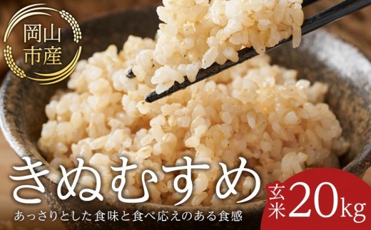 令和8年産 米 玄米 きぬむすめ 岡山市産 20kg ( 10kg × 2袋 )