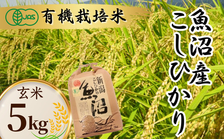 魚沼産コシヒカリ JAS有機栽培 玄米 5kg わたなべ農園 ｜令和8年 新米