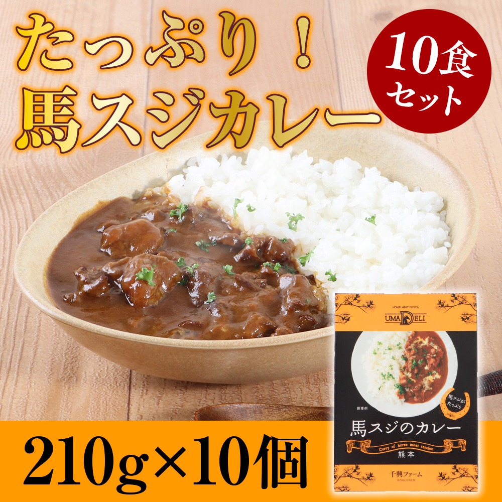 たっぷり！馬スジカレー 10食セット （ カレー レトルト 馬肉 国産 熊本県産　AN17 ）	