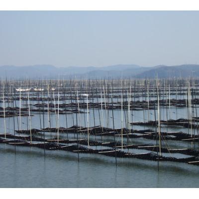 ふるさと納税 鞍手町 一番摘み有明海苔(10切80枚×4本　計320枚)　有明海柳川産　海苔詰合せ「自慢の味海苔」 |  | 02