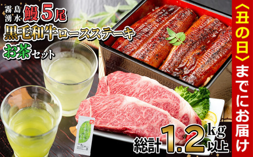 
贅沢セット！鹿児島県産 霧島湧水鰻5尾(1尾156g以上)×黒毛和牛ロースステーキ(200g×2)×有機栽培緑茶「夏井」(100g)(総計1.2kg以上) 鹿児島県産 国産 うなぎ ウナギ 真空パック 黒毛和牛 牛肉 ステーキ 緑茶 お茶 e2-003
