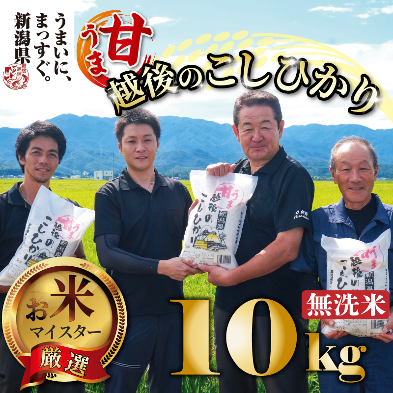 【令和6年産】 新米 無洗米 コシヒカリ 10kg 5kg 2袋 甘うま越後のこしひかり 越後 えちご 特別栽培米 新潟 コメ こめ お米 米 しんまい 新潟県 新潟米 新発田市 新発田産 斗伸 toushin013_01