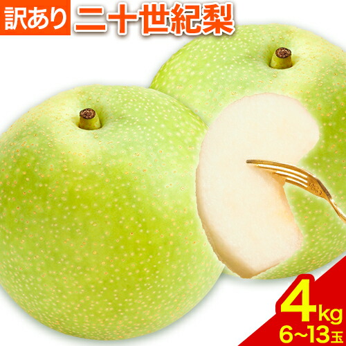 【2026年先行予約】【訳あり】二十世紀梨 約4kg (6～13玉) L～5Lサイズ 《2026年8月下旬-10月上旬頃出荷予定》鳥取県 八頭町 梨 なし ナシ 果物 フルーツ ご家庭用　　先行予約　ふるさと納税　送料無料　甘い　果実　果汁　デザート