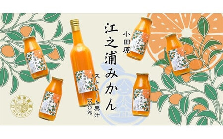 定期便 6回 小田原産江之浦みかん１００％ストレートジュース５００ml６本【 神奈川県 小田原市 】